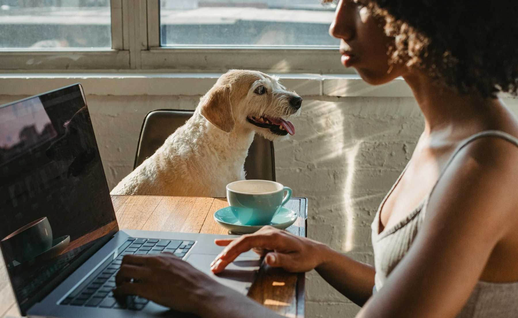 Caring for Pets When You Work from Home